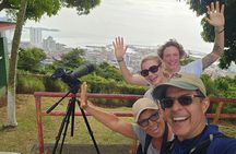 Ancon Hill Eco Walk – Sloths, Toucans & Stunning City Views
