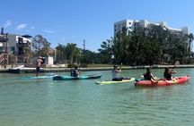 Siesta Key Kayak & Paddleboard Rentals | Midnight Pass Beach