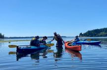 Guided Kayak Tour To Hope Island State Park