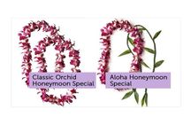 Honeymoon Airport Lei Greeting on Kahului Maui