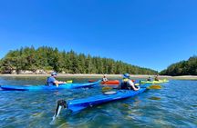 Guided Kayak Tour To Hope Island State Park
