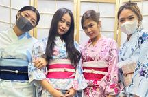 Nagoya Kimono and City Tour