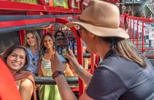 #1 Blue Mountains Small Group All Inclusive with Local Guide
