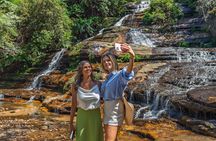 #1 Blue Mountains Small Group All Inclusive with Local Guide