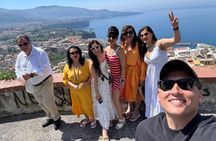 Pompeii Positano Stop and Sorrento Tour from Naples Port