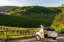 Fiesole and Florence Hills by Vespa with Olive Oil Tasting