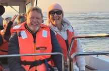 Whale Watching Boat Tour in St Lucia South Africa