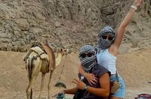 Hurghada Super Safari ATV, Buggy,Jeep, Camel Ride and Night show