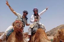 Hurghada Super Safari ATV, Buggy,Jeep, Camel Ride and Night show