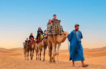 timlalin Dunes Quad Bike Camel Ride and Sandboarding Experience