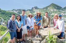 Ischia: Panoramic Wine Tour with Tastings, Vineyards & Pick-up