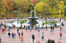 New York City Tour in One Day Central Park and 9 of 11 and Ferry Statue
