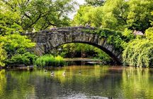 New York City Tour in One Day Central Park and 9 of 11 and Ferry Statue