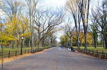 New York City Tour in One Day Central Park and 9 of 11 and Ferry Statue