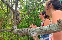 Southtern Sri lanka Day Tour from Colombo , Kaluthara or Bentota