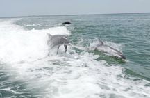 Public Sandbar Trip Swim Snorkel and Explore