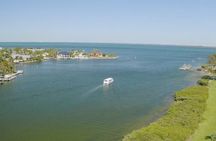 Public Sandbar Trip Swim Snorkel and Explore