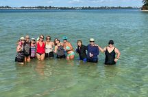 Public Sandbar Trip Swim Snorkel and Explore