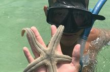 Public Sandbar Trip Swim Snorkel and Explore