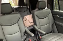 Montreal Private City Tour by Luxury Sedan MAX 3