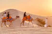 Abu Dhabi Evening Desert Safari: BBQ Dinner, Camel Ride & Shows