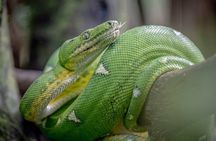 3 Day Amazon Jungle Wildlife Tour from Cusco