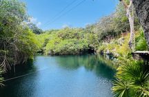 Private Cenote Tour: Dos Ojos, Jaguar & Nicte-Ha