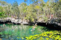 Private Cenote Tour: Dos Ojos, Jaguar & Nicte-Ha