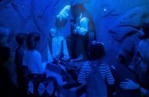 World Ranked, Adventure Escape Room: "Neverland"