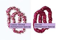 Honeymoon Airport Lei Greeting on Lihue Kauai