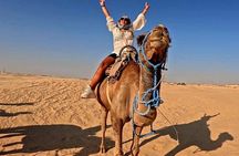 3-Day Sahara and South Tunisia Splendors Douz Tozeur from Tunis