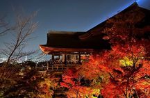 Kyoto Osaka Nara 3 Days Trip with a Local English Guide Driver