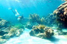 Pronoia Casa de Playa Private Boutique Beach Experience Mahahaul