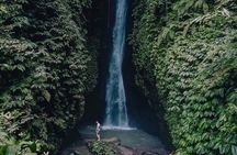 Bali Hidden Waterfalls (Private & All-Inclusive)