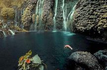 Bali Hidden Waterfalls (Private & All-Inclusive)