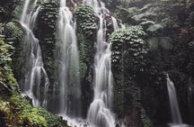 Bali Hidden Waterfalls (Private & All-Inclusive)