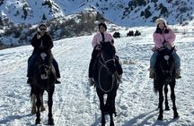 Amirsoy Chimgan and Charvak Lake Tour from Tashkent