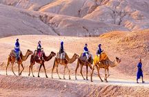 Agafay Desert Quad & Camel Rides with Dinner Show