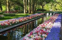 Private Excursion to Keukenhof gardens