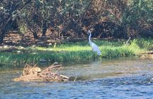 Sunset Great Western Trail Jeep Tour with stop at the Rio Verde