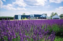 Private tour Visit the Eastern Townships Magog