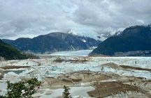 Hiking Viewpoints Glacier Explorers