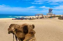 Cabo San Lucas Side by Side and Camel Riding Adventure