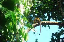 2 Day Manu National Park Adventure Experience