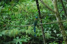 2 Day Manu National Park Adventure Experience