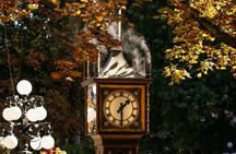 Limited Small Group: Vancouver Highlights & Granville Island