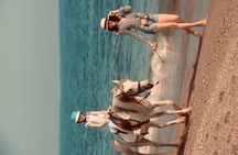 Horse Riding in Side - Horse Tour in Manavgat Forest and Beach