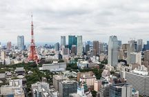 Tokyo Private Tour with English Speaking Guide