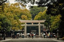 Tokyo Private Tour with English Speaking Guide