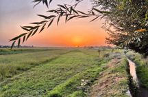 Samarkand Village Tour with Homemade Dinner & Local Snacks